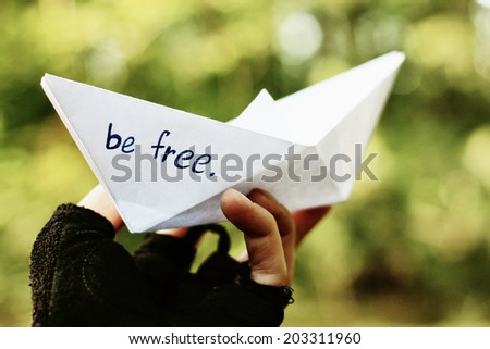 a Paper boat or Bee free, Summer background, Boat in hand