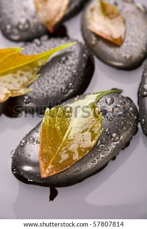 zen stones and leaves with water drops