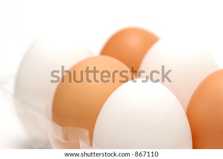 eggs diversity , brown and white eggs mixed together in plastic tray. highkey macro with shallow depth of field.