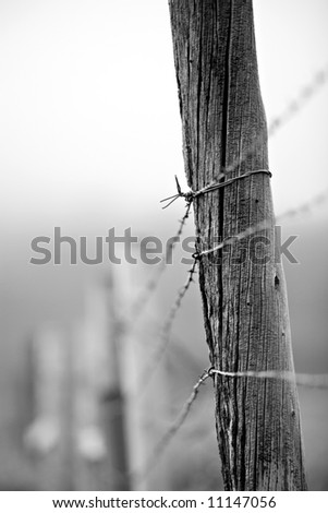 barbed wire fence post - converted to black and white with focus on ties
