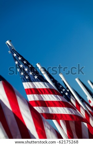 USA flags in a row - American flags lined up, shot angled under clear blue sky