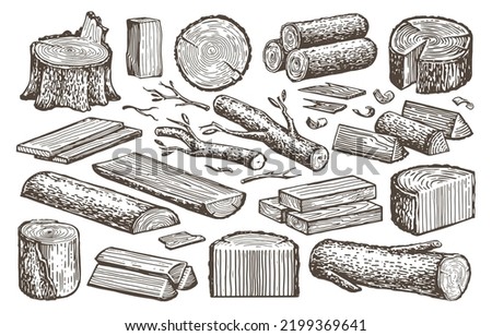Natural lumber, timber, woodworking set. Carpentry materials, wood. Tree stump, logs, plank, billet vector sketch