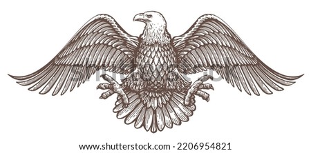 Bald Eagle with spread wings emblem. Royal symbol. Vector illustration. Hand drawn sketch in vintage engraving style