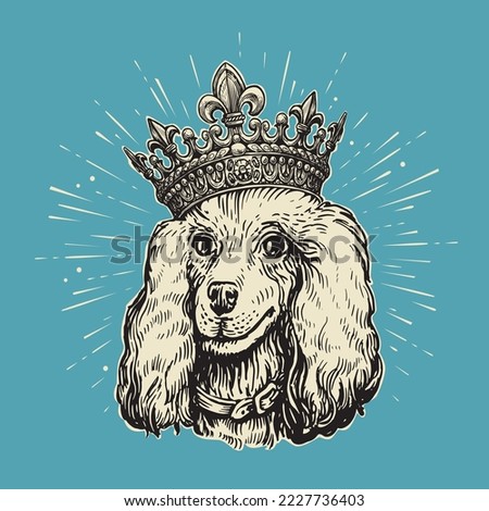 Beautiful Dog poodle in crown drawn in retro style. Royal cute dog poodle. Pet animal, puppy sketch vector illustration