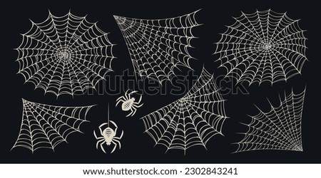 Set of spider web for Halloween. Cobweb, frames and borders, scary elements for decoration. Vector illustration