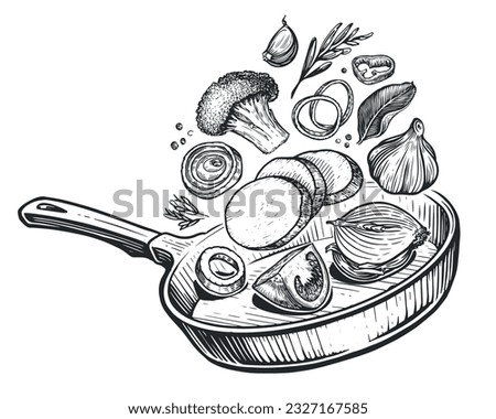 Fresh ingredients and frying pan. Food preparation sketch. Vegetables and spices. Cooking concept vector illustration