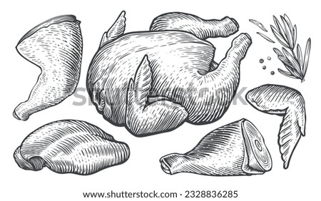 Whole raw chicken carcass and parts of meat cutting. Farm food set engraving style. Sketch vector illustration