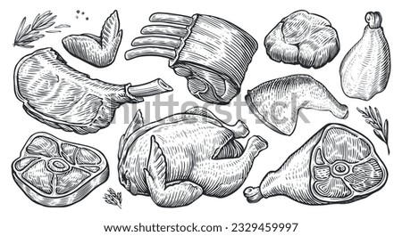 Meat collection. Sketch engraved style. Hand drawn vector illustration for butcher shop or restaurant menu