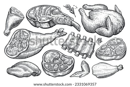 Meat set. Hand drawn vector illustration for butcher shop or restaurant menu. Sketch engraved style
