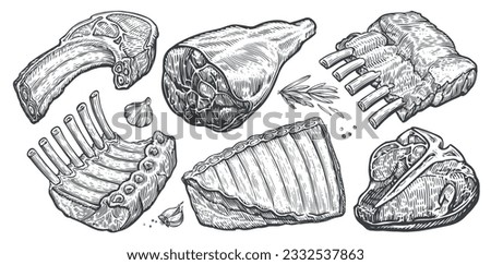 Cuts of raw meat set. Steak, ribs, ham vector illustration. Hand drawn sketch engraving style