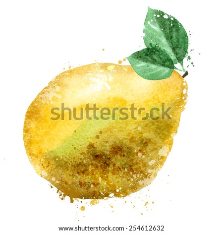 pomelo vector logo design template. fruit or food icon.