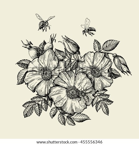 Bees flying to the flower. Hand drawn beekeeping. Vector illustration