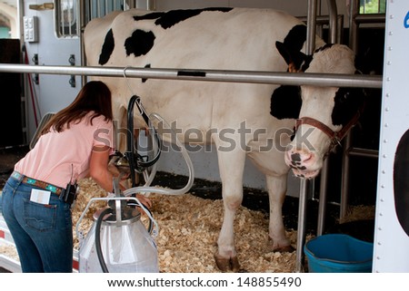 FOREST PARK, GA - JULY 27:  A cow reacts to being hooked up to a milking machine at the Georgia Grown Farmers Showcase at the Atlanta Farmers Market, on July 27, 2013 in Forest Park, GA.