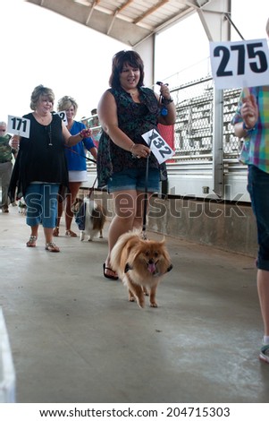 MCDONOUGH, GA - MAY 10:  Contestants parade their dogs to be voted on at the annual Dog Days of McDonough festival on May 10, 2014 in McDonough, GA.