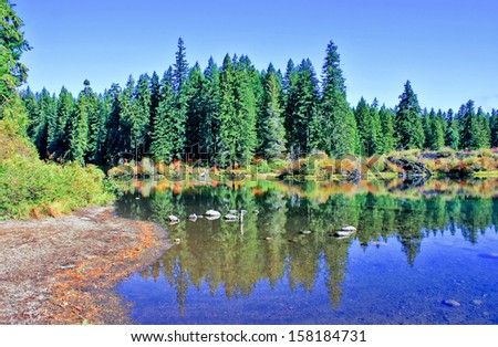 Autumn Lake (Clear Lake, Oregon)
