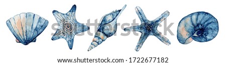 Set of sea creatures. Blue watercolor ocean starfish and seashell. Hand drawn illustration