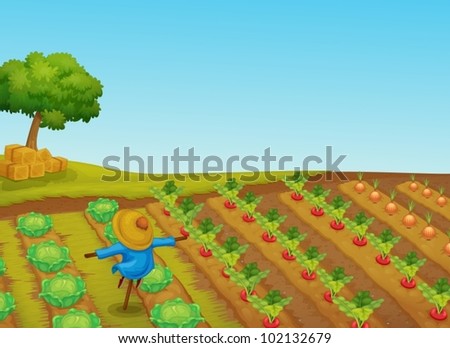 Illustration of a scarecrow in a vegetable patch