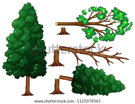 Tree Cutting Drawing At Getdrawings Free Download