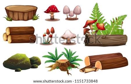 A set of wood element illustration