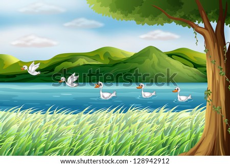 Illustration of five ducks in the river