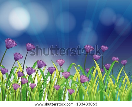 Illustration of a garden with fresh violet flowers
