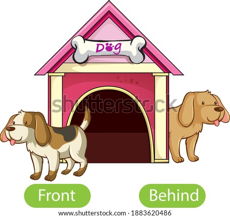 Opposite words with front and behind illustration