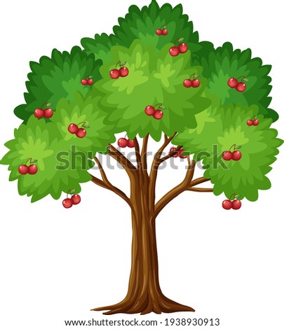 Cherry tree isolated on white background illustration Stock foto © 