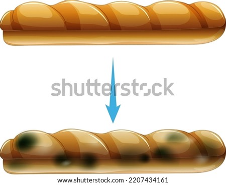 Inedible bread with mould illustration