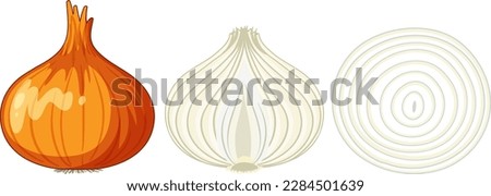 Onion cut in half set illustration