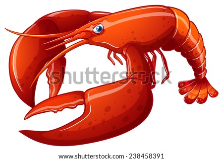 Illustration of a close up lobster