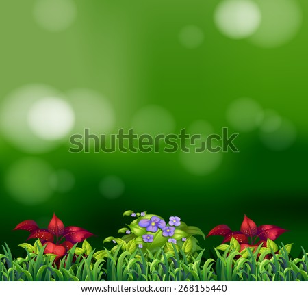 Green grass and beautiful flowers with green background