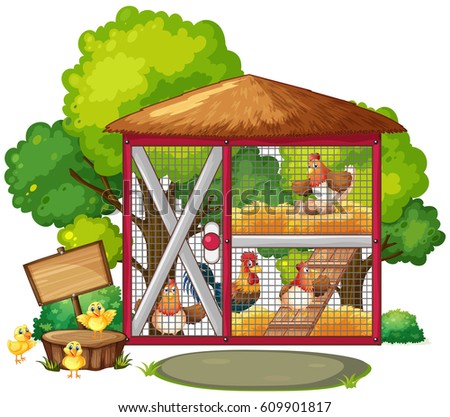 Chickens on farm in coop cage