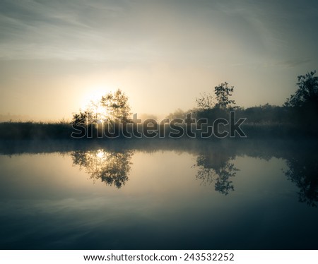 misty dawn over the river. The sun\'s rays from behind a tree