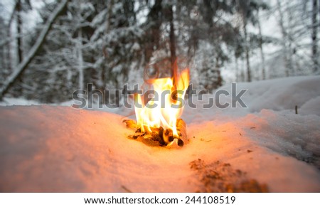 Bonfire on a snowy clearing in the woods.