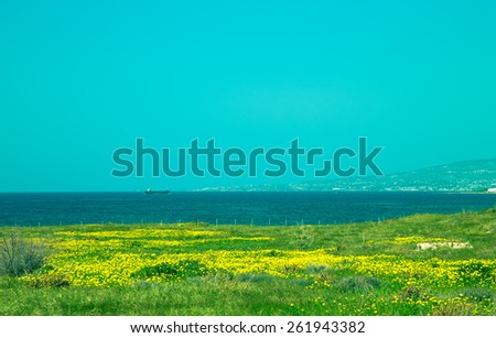 Green meadow with yellow flowers in the background the sea, the mountains and the ship. Idyllic landscape. Toned.