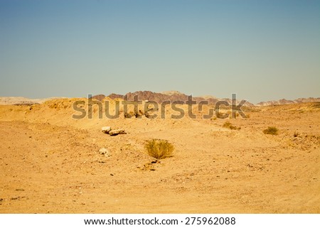 View of the nature reserve Ras Mohammed in Egypt. Selective focus. Toned.