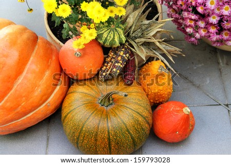 Fall terrace decorations with pumpkin, lot of flowers and other decor objects