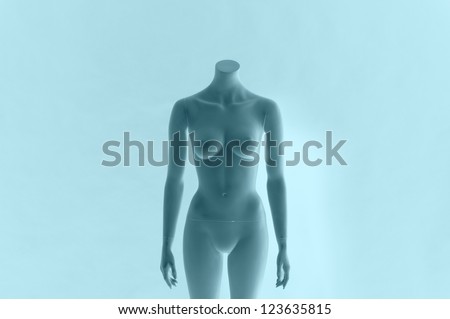 female mannequin body in blue