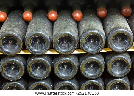 Old bottles of wine in rows in wine cellar