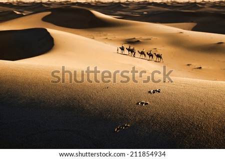 Silhouettes of camel caravan travelling in Sahara desert in Morocco