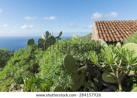 Teno Mountains with House on Tenerife with hills and cactus with view on the ocean.