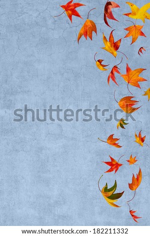 Isolated falling autumn leaves spinning in the wind/Autumn leafs falling