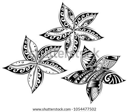 Plumeria flower as tribal tattoo in Maori and Samoan ethnic styles