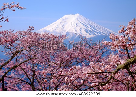 Mt Fuji and Cherry Blossom  in Japan Spring Season (Japanese Call Sakura ) Selective Focus 商業照片 © 