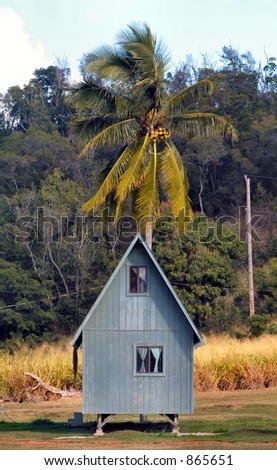 Tropical Hideaway Cabin