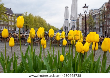 Amsterdam cityscape with yellow tulips on the foreground and outside cafe on the background, the Netherlands.