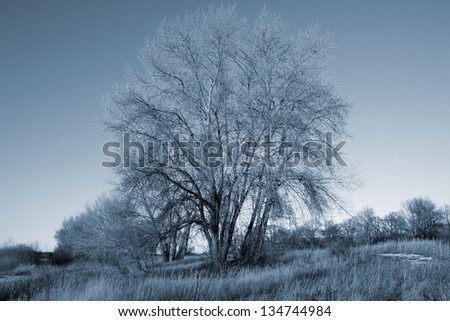 Similar – Foto Bild Brandenburgische Steppe