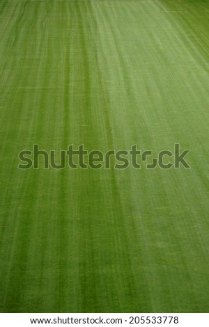 The photography of freshly mown lawn of a soccer field / Soccer field