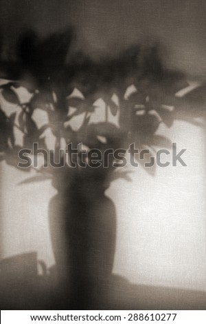 The shadow projection of a vase with flowers on the rough surface of a wall / The shade of a flower vase