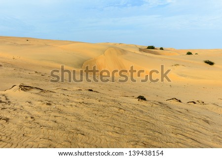 The Sahara, the world\'s hottest desert, the third largest desert after Antarctica and the Arctic